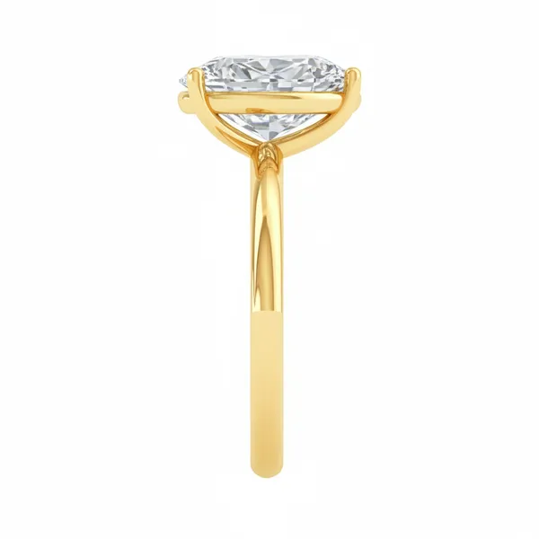 Mesmerizing Split-Shank Diamond Ring - View 4