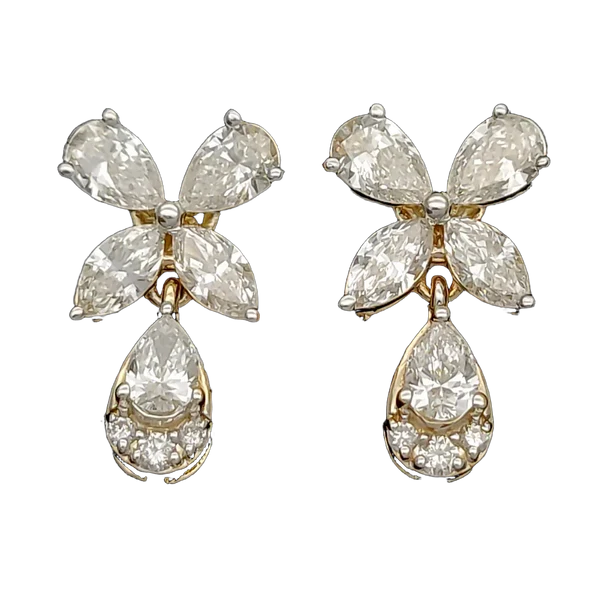 Elegant Solstice Diamond Earring & Mangalsutra Set MNEP1235